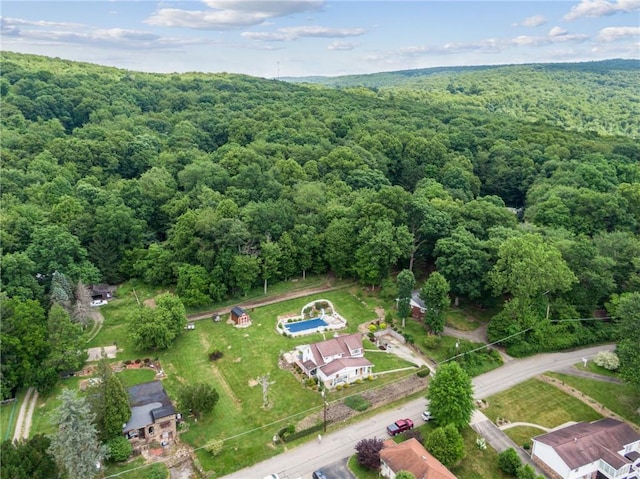 1303 Isabella Rd, Connellsville, PA 15425 - bird's eye view of a forest