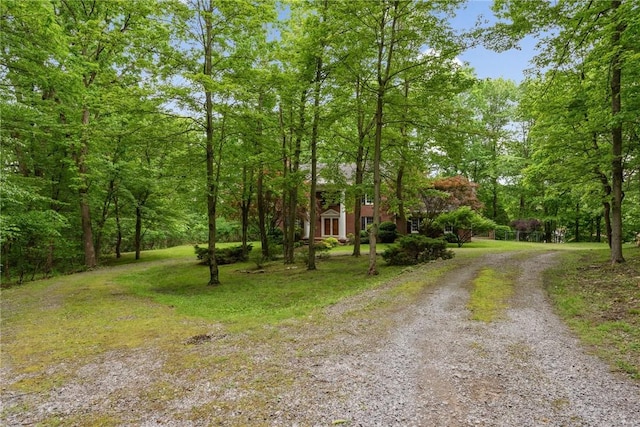 1001 Grand Ave, Hopewell Twp Bea, PA 15001 - view of dirt / gravel driveway featuring a forest view
