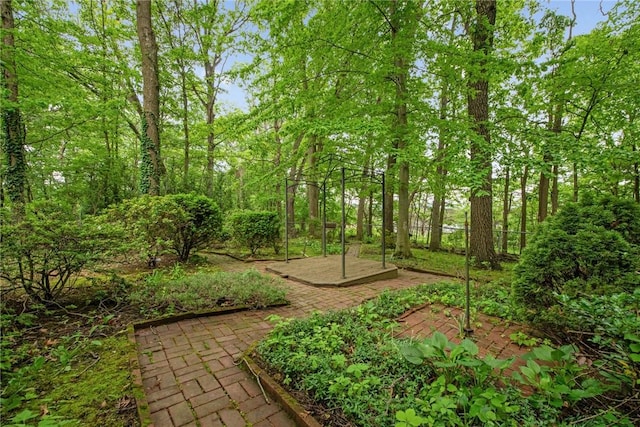 1001 Grand Ave, Hopewell Twp Bea, PA 15001 - view of yard with a patio
