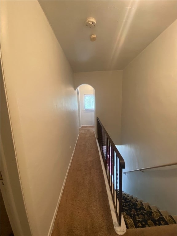 7740 Pershing St, Penn Hills, PA 15235 - stairway featuring arched walkways, carpet floors, and baseboards