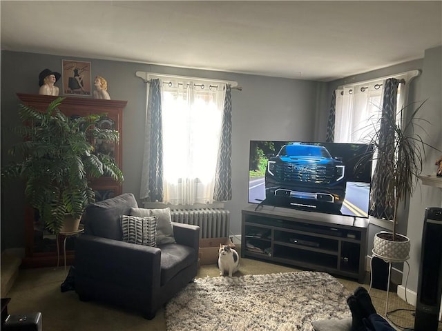 4735 Stanton Ave, Stanton Heights, PA 15201 - living area with radiator, plenty of natural light, and carpet
