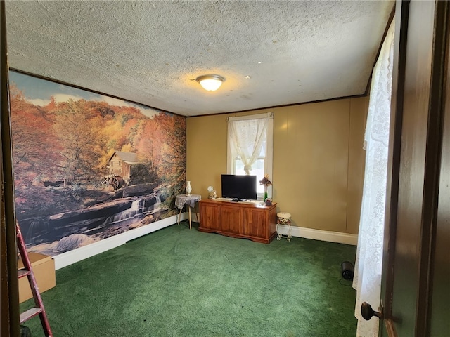 534 Broadway St, Masontown, PA 15461 - carpeted home office with a textured ceiling and baseboards