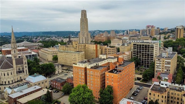 144 N Dithridge St Unit 703, Oakland, PA 15213 - view of city