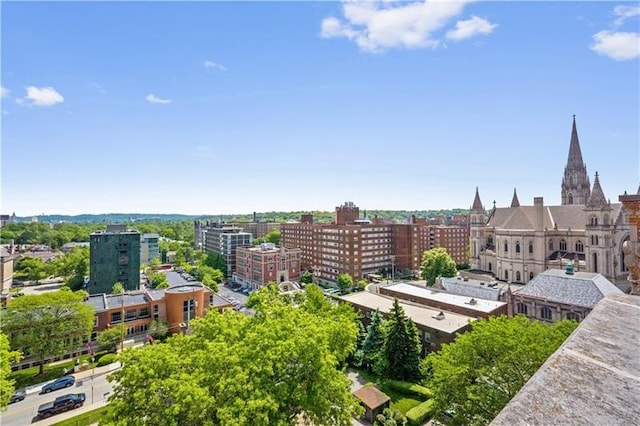 144 N Dithridge St Unit 703, Oakland, PA 15213 - view of city