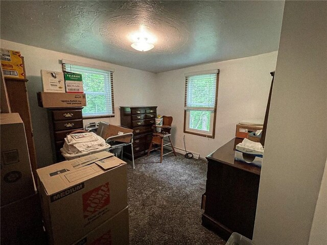 141 Minich Rd, Center Twp But, PA 16001 - office featuring dark colored carpet, healthy amount of natural light, and a textured ceiling