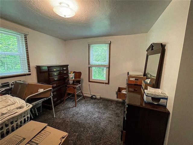 141 Minich Rd, Center Twp But, PA 16001 - carpeted bedroom featuring multiple windows and a textured ceiling