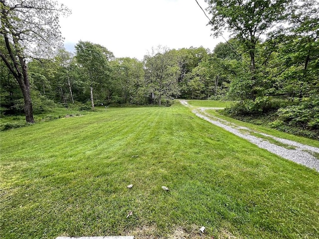 141 Minich Rd, Center Twp But, PA 16001 - view of grassy yard