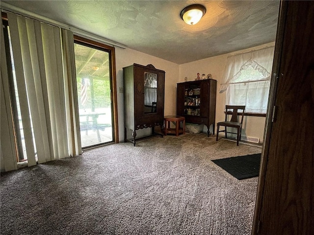 141 Minich Rd, Center Twp But, PA 16001 - unfurnished room featuring healthy amount of natural light, carpet, and a textured ceiling
