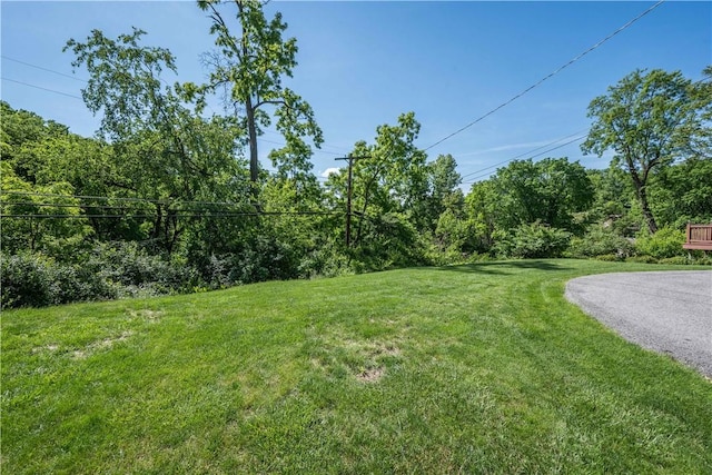 2443 Rose Garden Rd, Banksville/Westwood, PA 15220 - view of green lawn