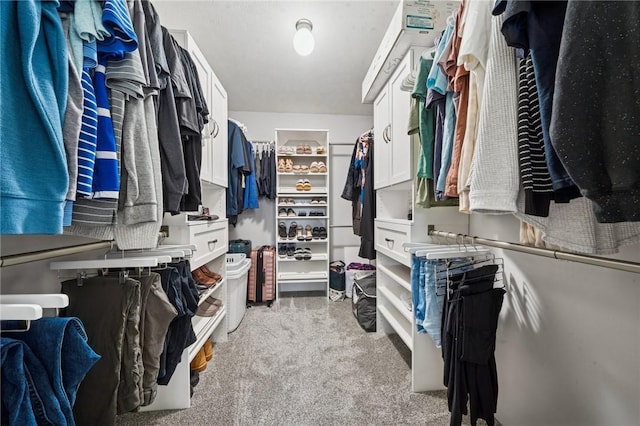 11572 Salerno Dr, North Huntingdon, PA 15642 - spacious closet featuring light colored carpet
