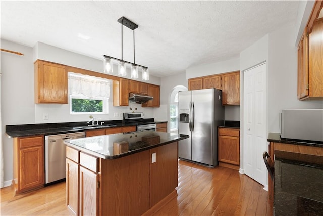 821 Kingston Dr, South Fayette, PA 15057 - kitchen with appliances with stainless steel finishes, under cabinet range hood, light wood-style floors, and a sink