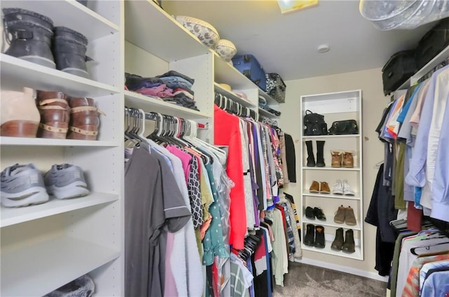 2114 Swallow Hill Rd, Scott Twp Sal, PA 15220 - spacious closet with carpet floors