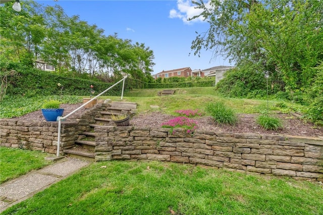 418 Lawnwood Ave, Brentwood, PA 15227 - view of yard