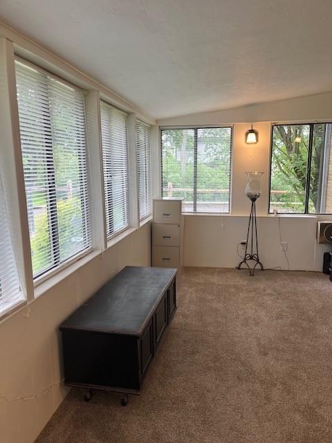 102 Rose Ave, Ross Twp, PA 15229 - sunroom / solarium with vaulted ceiling