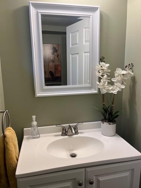 102 Rose Ave, Ross Twp, PA 15229 - bathroom with vanity