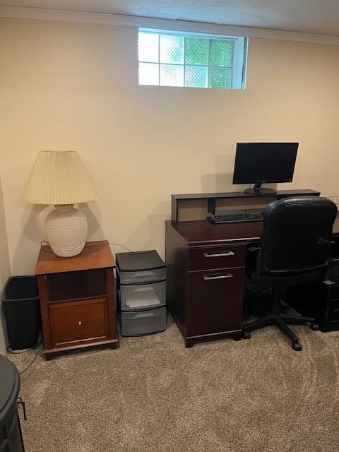 102 Rose Ave, Ross Twp, PA 15229 - office area featuring ornamental molding and light carpet