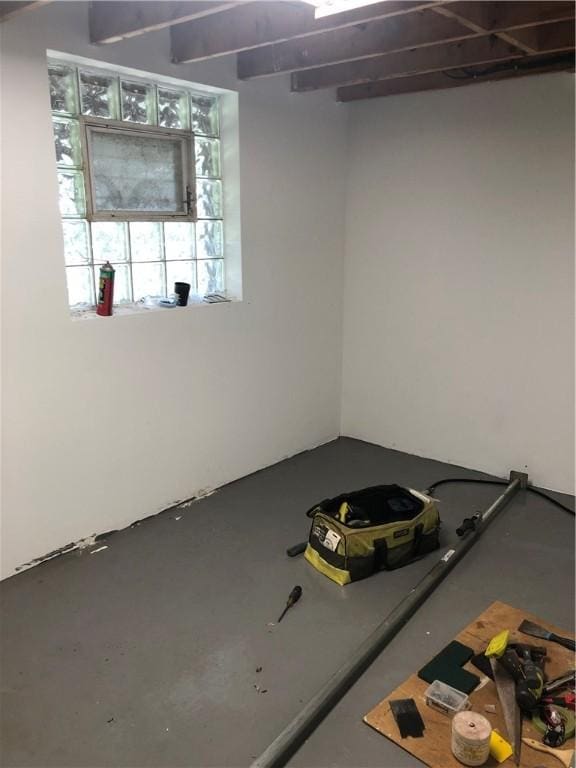 229 Moore Ave, Knoxville, PA 15210 - view of below grade area