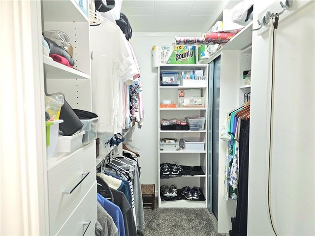 72 Linden Pl Unit 36, Sewickley, PA 15143 - photo 31