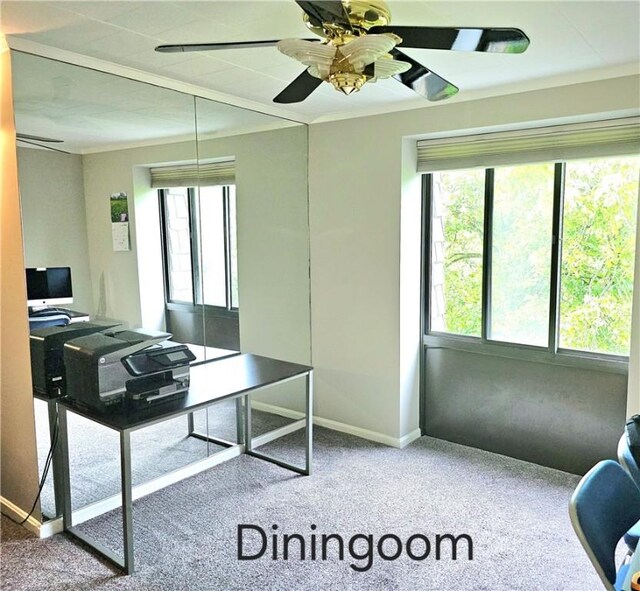72 Linden Pl Unit 36, Sewickley, PA 15143 - photo 22