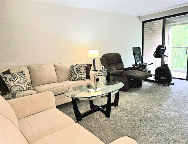 72 Linden Pl Unit 36, Sewickley, PA 15143 - photo 15