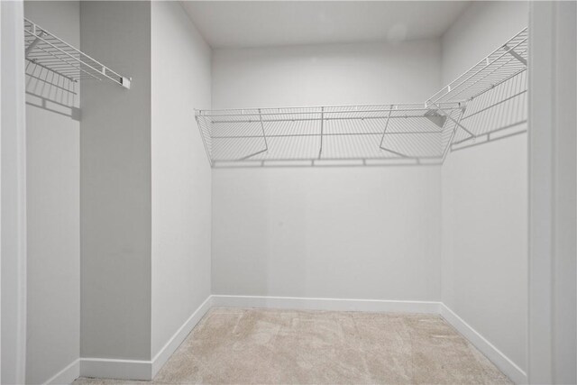 339 Nelson Dr, Monroeville, PA 15146 - spacious closet with carpet flooring