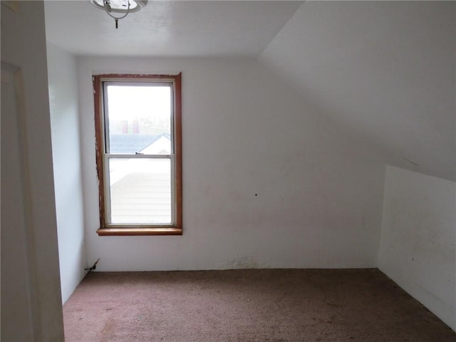 3921 Portman Ave, Observatory Hill, PA 15214 - additional living space featuring carpet floors and lofted ceiling