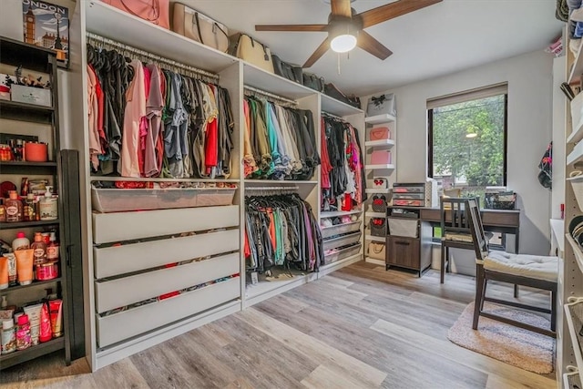 1382 Great Oak Dr, Scott Twp Sal, PA 15220 - walk in closet with ceiling fan and wood finished floors