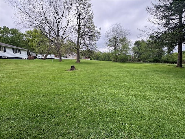 182 Central Ave, Brookville Area School District, PA 15825 - photo 7