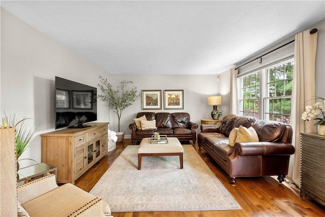 401 Pebble Creek Dr, Cranberry Twp, PA 16066 - living area with wood finished floors and a textured ceiling