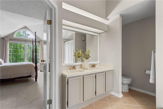 401 Pebble Creek Dr, Cranberry Twp, PA 16066 - full bath with ensuite bathroom, toilet, double vanity, tile patterned floors, and lofted ceiling