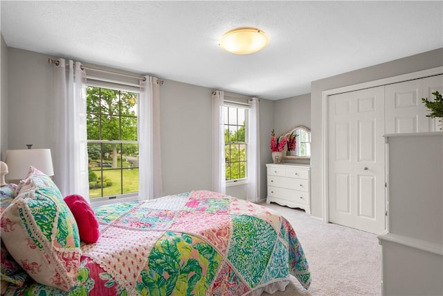401 Pebble Creek Dr, Cranberry Twp, PA 16066 - bedroom featuring carpet and a closet
