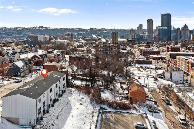 2127 Rose St, Hill District, PA 15219 - skyline view