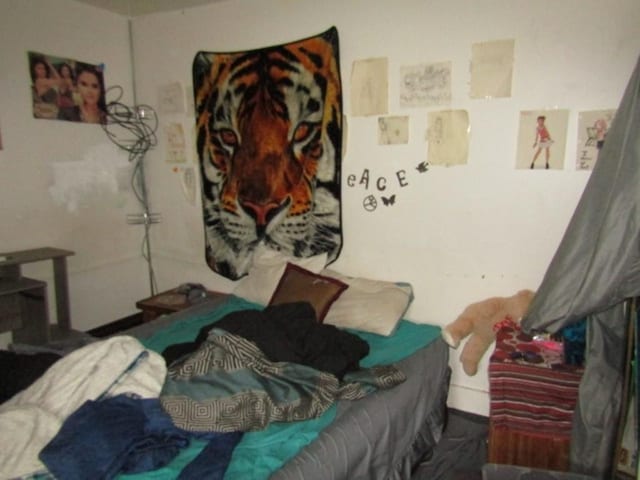 3024 Wadlow St, Brighton Heights, PA 15212 - view of bedroom