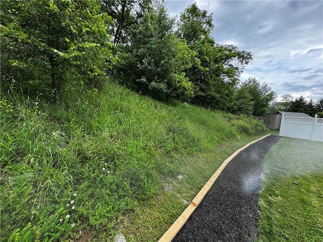 123 Pine Creek Dr, Peters Twp, PA 15367 - view of yard featuring driveway