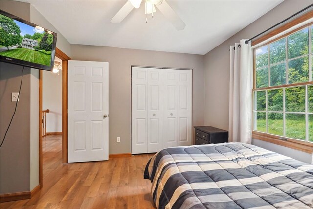 565 Leeper Rd, Green Twp, PA 15043 - bedroom featuring light wood-style flooring, multiple windows, baseboards, and a closet