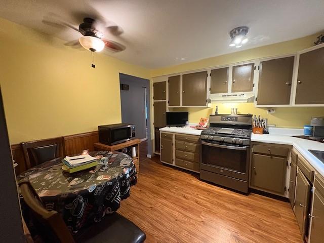 531 5th Ave, Freedom, PA 15042 - kitchen with appliances with stainless steel finishes, under cabinet range hood, ceiling fan, light wood-style flooring, and light countertops