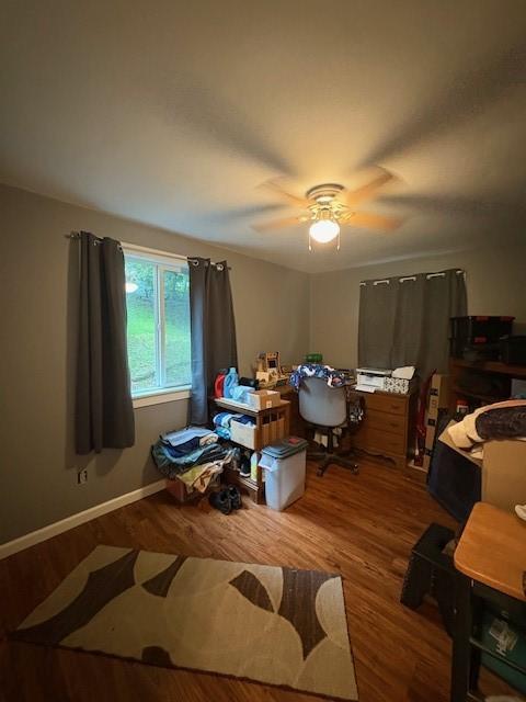 531 5th Ave, Freedom, PA 15042 - bedroom with wood finished floors, ceiling fan, and baseboards