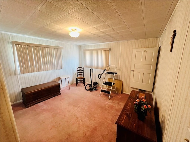 1129 1st St, Redstone Twp, PA 15442 - living area featuring carpet flooring and baseboards