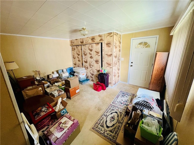 1129 1st St, Redstone Twp, PA 15442 - living room with carpet floors and crown molding