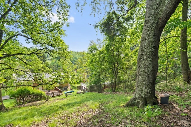 100 Longvue Dr, Ross Twp, PA 15237 - photo 24