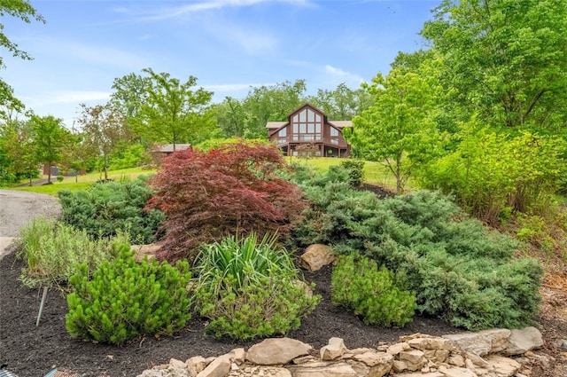 201 Roosevelt Rd, Kilbuck Twp, PA 15202 - view of yard