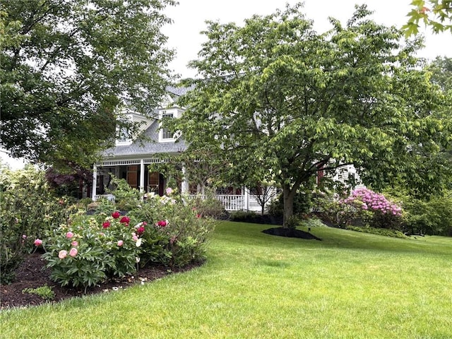 5010 W Grove Ln, Pine Twp Nal, PA 15044 - view of green lawn