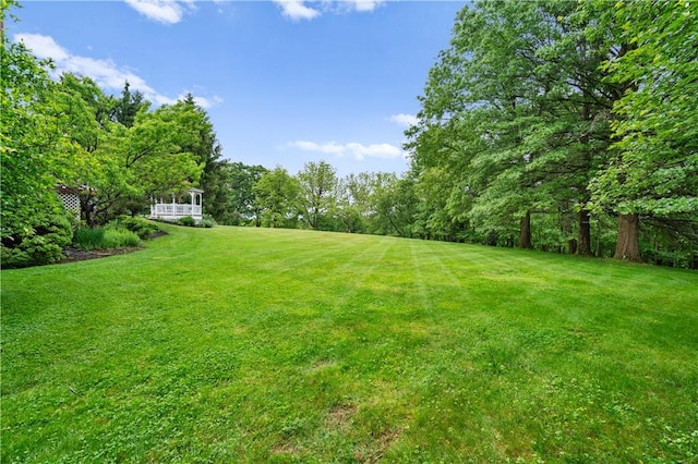 5010 W Grove Ln, Pine Twp Nal, PA 15044 - view of grassy yard