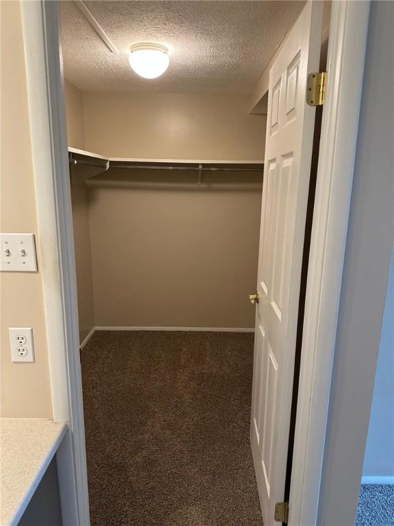 9015 James Ct Unit 9015, Hopewell Twp Bea, PA 15001 - spacious closet featuring carpet flooring
