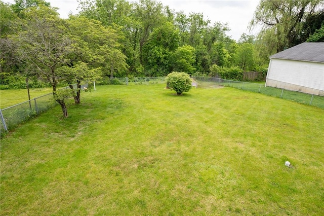 10 N St, Smith, PA 15004 - view of yard