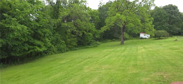 27 Elich Rd, Pa, PA 15021 - view of green lawn
