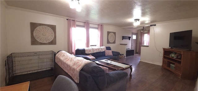 27 Elich Rd, Pa, PA 15021 - living area with wood finished floors, crown molding, and baseboards
