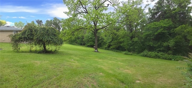27 Elich Rd, Pa, PA 15021 - view of grassy yard