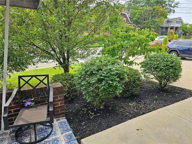 3213 Brownsville Rd, Brentwood, PA 15227 - view of yard