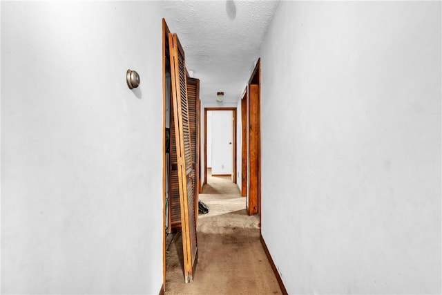 408 Mitchell Ave, City Of But Nw, PA 16001 - corridor with a textured ceiling, baseboards, and carpet